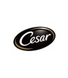 Cesar